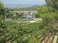 2015-08 Chateau La Coste 029